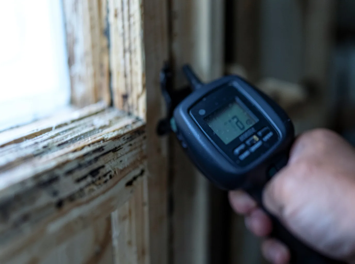 Water Damage Restoration Annapolis, MD FAQs